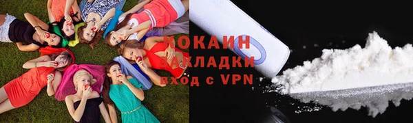 мдпв Волосово