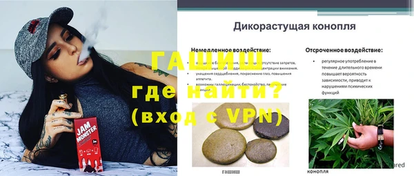 мдпв Волосово